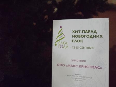 Decor выставка Киев МВЦ новогодняя елка 2013 акценты осени тренды 2012-2013 фото
